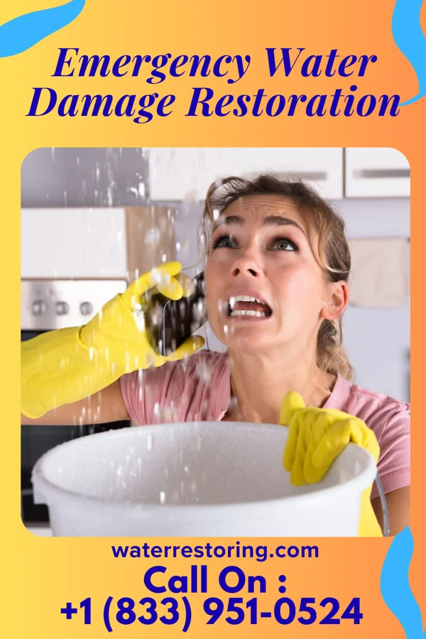 Emergency Water Damage Restoration in Goodman, MO