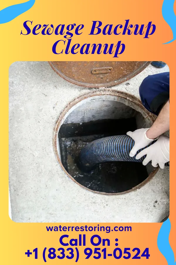 Sewage Backup Cleanup in Goodman, MO